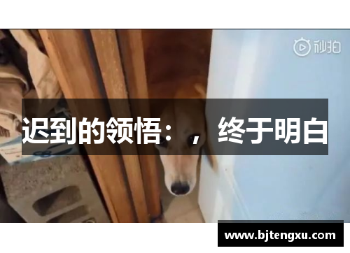 迟到的领悟：，终于明白